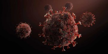 Changing our lifestyles in the face of the coronavirus