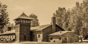 The holocaust, academic freedom and free speech