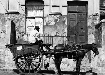 Book captures memories of D6 through thoughts and images