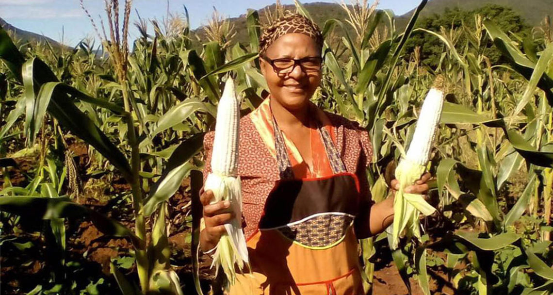African faith communities reject Gates Foundation’s ‘Big Farming’ model