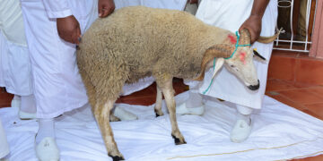 The treatment of animals in Islam