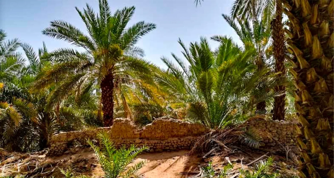 Getting our hearts closer to the Beloved (SAW): The example of Salman al Farsi