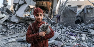 Gaza genocide: survival becomes resistance, but psychological toll is immense