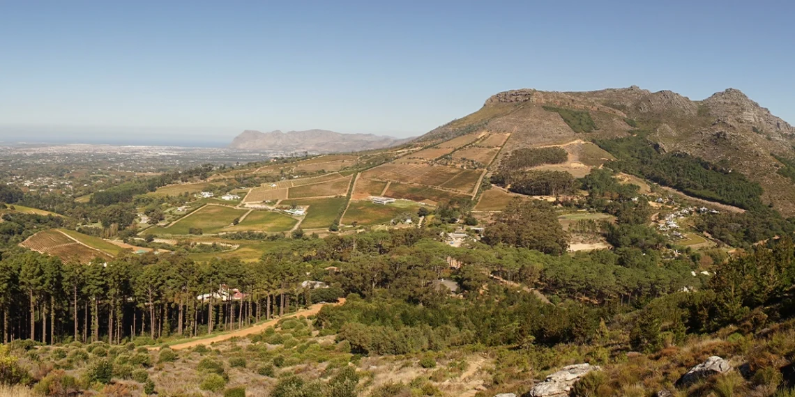 Women in AI to host Women’s Month hike
