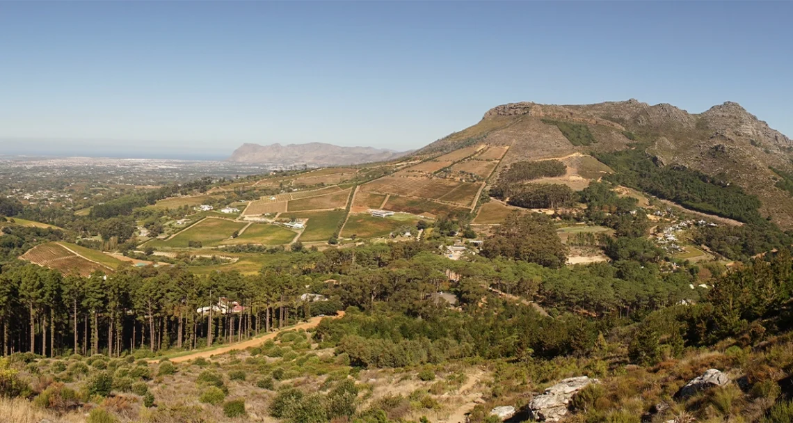 Women in AI to host Women’s Month hike