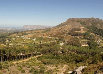Women in AI to host Women’s Month hike