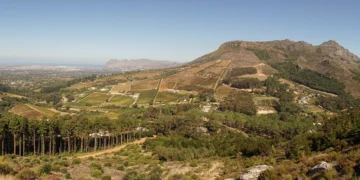 Women in AI to host Women’s Month hike