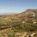 Women in AI to host Women’s Month hike
