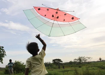 Why Gaza’s kites demand urgent global solidarity