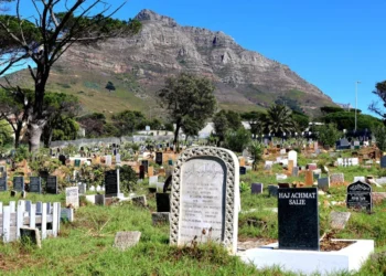 A new chapter for Mowbray cemetery as board takes office