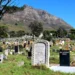 A new chapter for Mowbray cemetery as board takes office