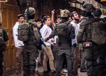 Zionism at its most reviled: why Israel needs the “extremist settler”